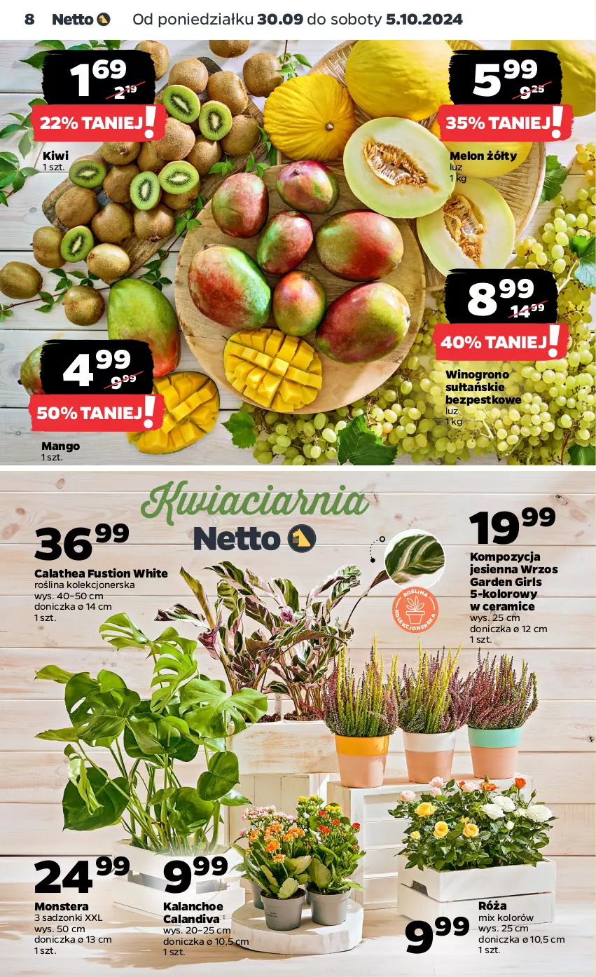 Gazetka promocyjna Netto - Netto Gazetka Food 40/24A - ważna 30.09 do 05.10.2024 - strona 8 - produkty: Kalanchoe, Kiwi, Mango, Melon, Róża, Tera, Wino