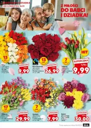 Gazetka promocyjna Kaufland - Gazetka - ważna od 22.01 do 22.01.2025 - strona 16 - produkty: Tulipan