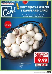 Gazetka promocyjna Kaufland - Gazetka - ważna od 22.01 do 22.01.2025 - strona 42 - produkty: Piec