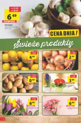 Gazetka promocyjna Arhelan - Gazetka - Gazetka - ważna od 23.01 do 23.01.2022 - strona 2 - produkty: Piec, Cebula, Hiacynt, Tulipan, Prymula, Pieczarka, Bukiet