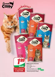 Gazetka promocyjna Dino - Gazetka - ważna od 25.06 do 25.06.2024 - strona 60 - produkty: Mokra karma