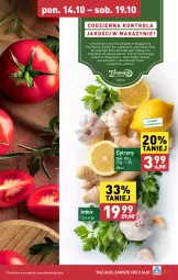 Gazetka promocyjna Aldi - Pełna oferta - Gazetka - ważna od 19.10 do 19.10.2024 - strona 5 - produkty: Cytryny, Imbir
