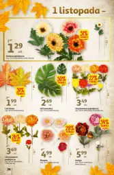 Gazetka promocyjna Auchan - Gazetka Koszyk Oszczędności Auchan Hipermarkety - Gazetka - ważna od 19.10 do 19.10.2022 - strona 26 - produkty: Piwo, Gerber, Chryzantema
