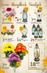 Gazetka promocyjna Auchan - Gazetka Koszyk Oszczędności Auchan Hipermarkety - Gazetka - ważna od 19.10 do 19.10.2022 - strona 27 - produkty: Ser, Gra, Bursztyn, Rama, Róża, Chryzantema, Bukiet, Znicz