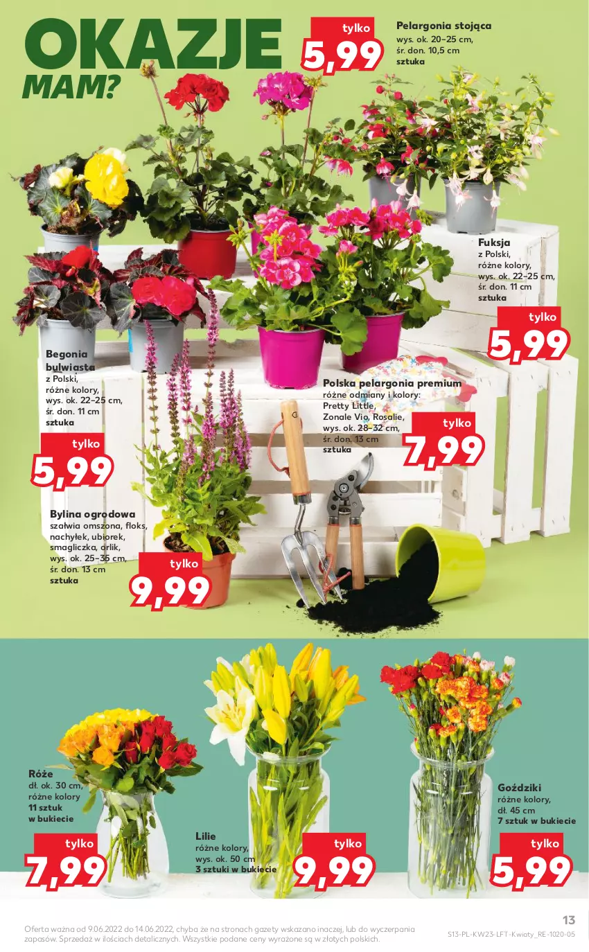 Gazetka promocyjna Kaufland - OFERTA TYGODNIA - ważna 09.06 do 14.06.2022 - strona 13