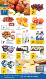 Gazetka promocyjna Tesco - Tesco gazetka - przyszły tydzień - Gazetka - ważna od 03.03 do 03.03.2021 - strona 4 - produkty: Ser topiony, Belriso, Top, Ser, Gra, Danone, Ziemniaki, Serek kanapkowy, Pomarańcze, Szampion, Serek, Napój mleczny, Deser, Gala, Masło, Napój, Jabłka, Mleko