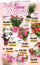 Gazetka promocyjna Netto - Gazetka spożywcza 26.05-1.06 - Gazetka - ważna od 01.06 do 01.06.2022 - strona 3 - produkty: Gerber, Tulipan, Róża, Cynk, Bukiet, Fa
