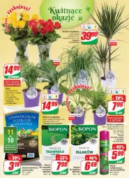 Gazetka promocyjna Dino - Gazetka - Gazetka - ważna od 23.08 do 23.08.2022 - strona 17 - produkty: Sok, Bukiet, Nawóz