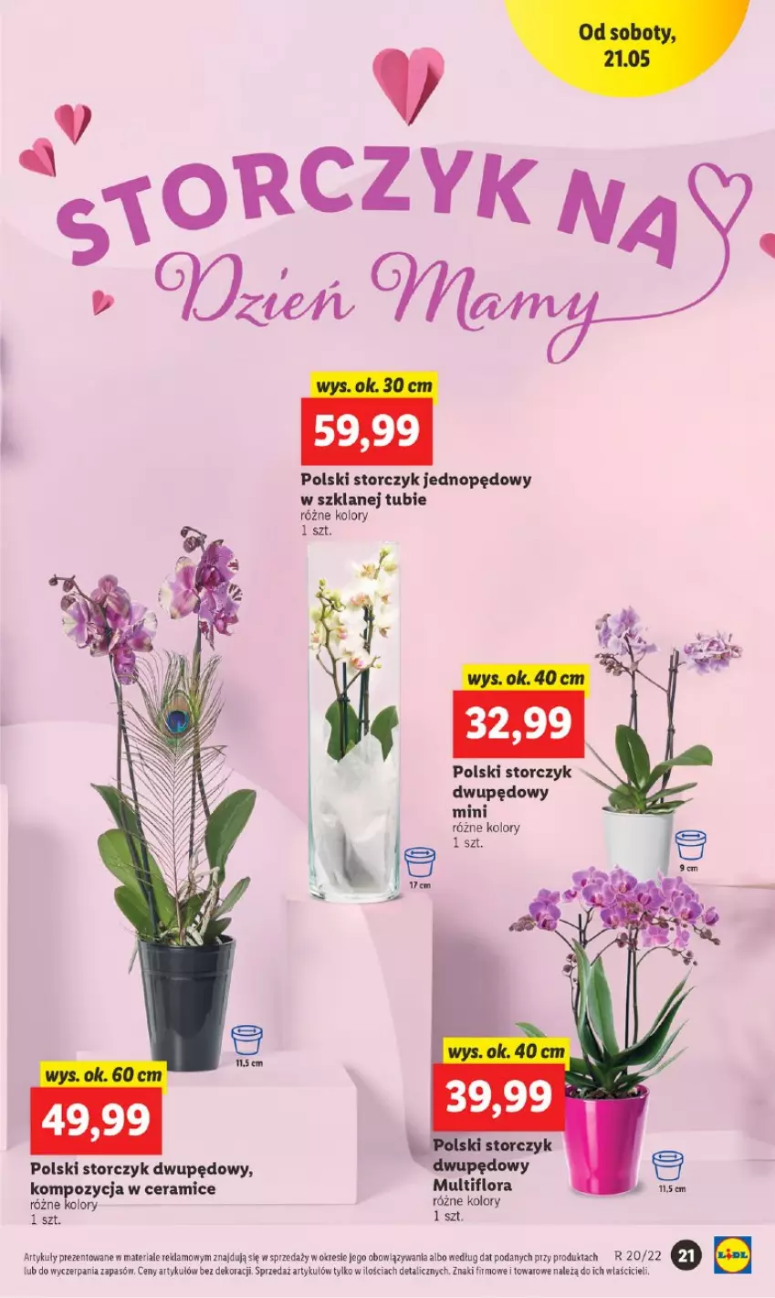 Gazetka promocyjna Lidl - GAZETKA - ważna 19.05 do 21.05.2022 - strona 21 - produkty: Flora, Storczyk