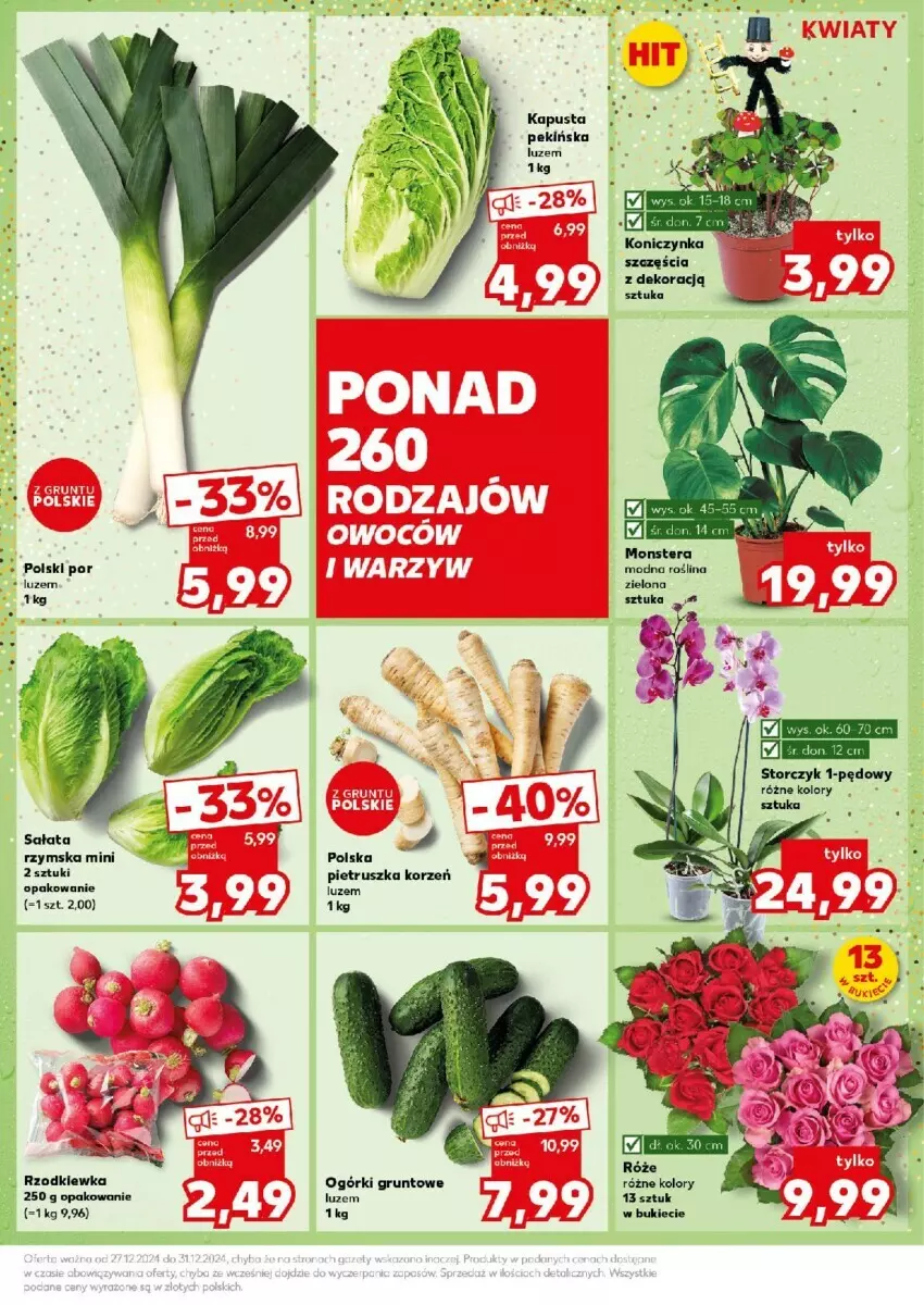 Gazetka promocyjna Kaufland - ważna 30.12 do 31.12.2024 - strona 14 - produkty: Grunt, Pietruszka, Por, Rzodkiewka, Sałat, Storczyk