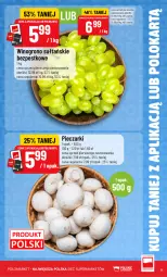 Gazetka promocyjna PoloMarket - Katalog Kupuj taniej z POLOappką - Gazetka - ważna od 06.10 do 06.10.2026 - strona 9 - produkty: Piec, Tera, Wino