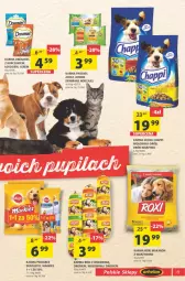 Gazetka promocyjna Arhelan - Gazetka - Gazetka - ważna od 28.11 do 28.11.2021 - strona 19 - produkty: Kurczak, Makaron, Warzywa, Sos, Ser, Friskies, Chappi, Drób, Mars, Wołowina, Pedigree
