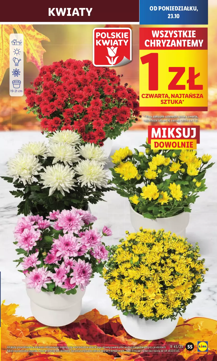 Gazetka promocyjna Lidl - GAZETKA - ważna 23.10 do 25.10.2023 - strona 59 - produkty: Fa