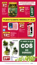 Gazetka promocyjna Aldi - Pełny katalog - Gazetka - ważna od 28.08 do 28.08.2022 - strona 27 - produkty: Piwa, Piwo, Gra, Korniszony, Mięsne specjały, Schab wieprzowy, Lech Premium, Mleko