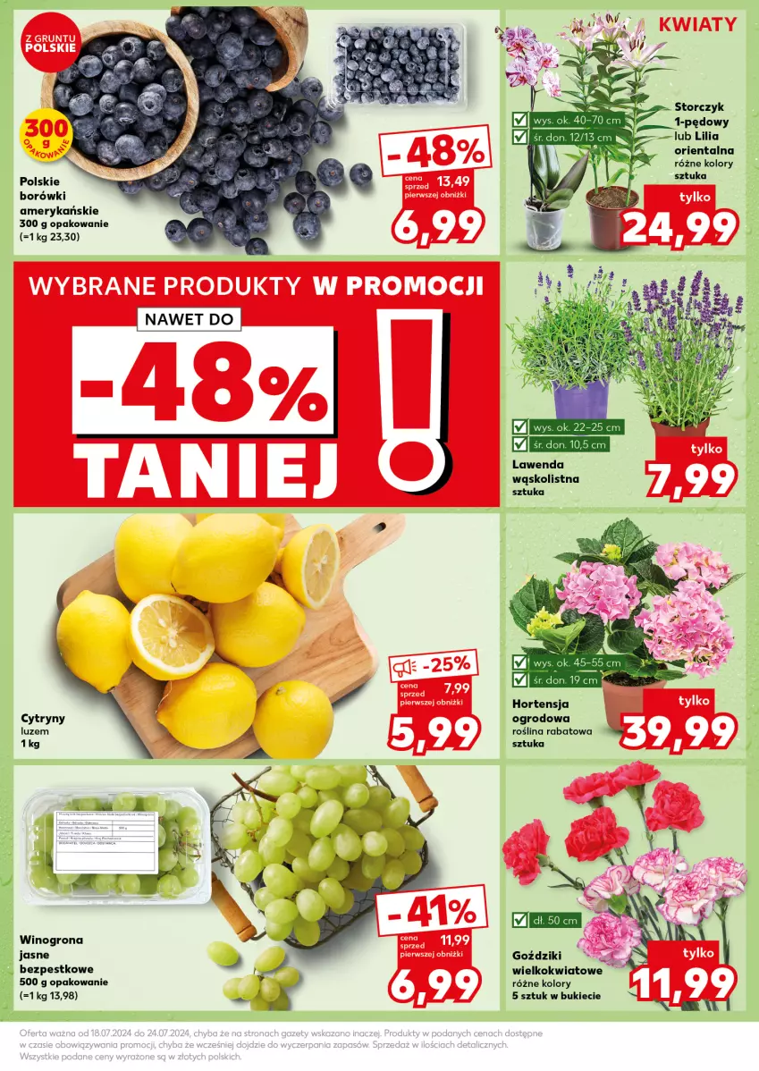 Gazetka promocyjna Kaufland - Kaufland - ważna 22.07 do 24.07.2024 - strona 7 - produkty: Cytryny, Pizza, Storczyk, Wino, Winogrona