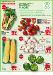 Gazetka promocyjna Kaufland - Kaufland - Gazetka - ważna od 24.07 do 24.07.2024 - strona 6 - produkty: Warzywa, Papryka, Sałat, Grunt, Pomidory, Kukurydza