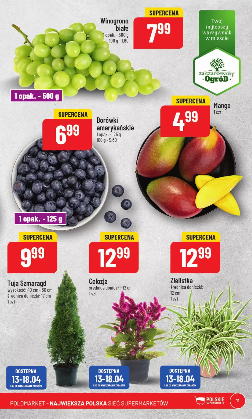 Gazetka promocyjna PoloMarket - Gazetka pomocyjna - ważna 12.04 do 18.04.2023 - strona 11 - produkty: Gra, Mango, Ogród, Por, Wino