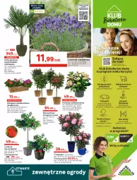 Gazetka promocyjna Leroy Merlin - Ogród  na balkonie - Gazetka - ważna od 27.05 do 27.05.2021 - strona 5 - produkty: Sok, Rum, Por, Gra, Telefon, Róża, Alpina, Kosz, O nas, Tran, Palma, Robot, Sport, Wózek, Flora, Kasza, Nawóz, Kosiarka, Traktor, Fa