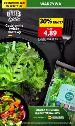 Gazetka promocyjna Lidl - GAZETKA - Gazetka - ważna od 01.02 do 01.02.2025 - strona 18 - produkty: Sałatka, Warzywa, Sos, Sałat