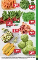Gazetka promocyjna Stokrotka - Market - Gazetka - ważna od 23.07 do 23.07.2025 - strona 11 - produkty: Cebula, Warzywa, Gra, Sałata lodowa, Rukola, Sałat, Brzoskwinie, Owoce, Rzodkiewka, Mięso, Kukurydza, Szpinak