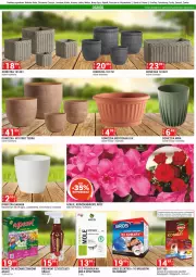 Gazetka promocyjna Merkury Market - Gazetka - ważna od 31.07 do 31.07.2024 - strona 47 - produkty: Piec, Chrzan, Tera, Dzieci, Grill, Nawóz