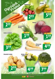 Gazetka promocyjna Prim Market - Gazetka - ważna od 01.04 do 01.04.2026 - strona 10 - produkty: Pietruszka, Ziemniaki, Gruszki