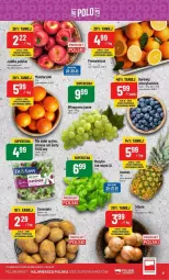 Gazetka promocyjna PoloMarket - Gazetka - ważna od 30.01 do 30.01.2024 - strona 14 - produkty: Cebula, Ziemniaki, Pomarańcze, Sałat, Bazyl, Bazylia, Mięta, Jabłka