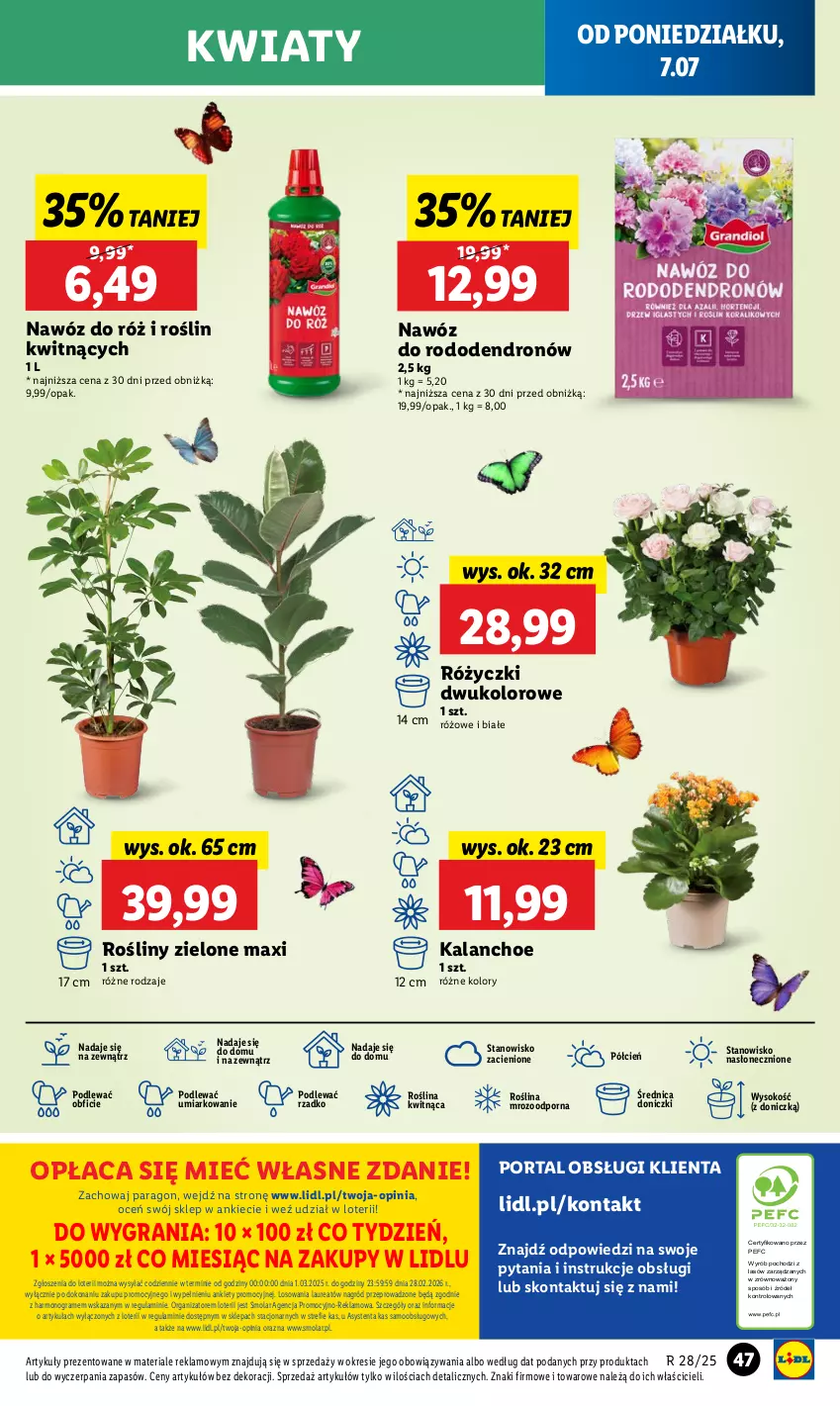 Gazetka promocyjna Lidl - GAZETKA - ważna 07.07 do 09.07.2025 - strona 55 - produkty: Cień, Gra, Kalanchoe, Laur, Mola, Nawóz, O nas, Por, Portal, Sok