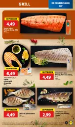 Gazetka promocyjna Lidl - GAZETKA - Gazetka - ważna od 09.07 do 09.07.2025 - strona 23 - produkty: Tusz, Dorsz, Grill