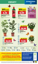 Gazetka promocyjna Lidl - GAZETKA - Gazetka - ważna od 09.07 do 09.07.2025 - strona 55 - produkty: Sok, Por, Gra, Cień, O nas, Portal, Kalanchoe, Laur, Mola, Nawóz