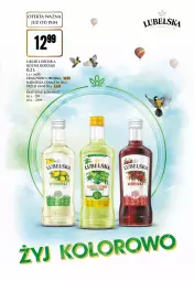 Gazetka promocyjna Dino - Katalog alkoholowy / kwiecień 2024 - Gazetka - ważna od 28.04 do 28.04.2024 - strona 9 - produkty: Likier