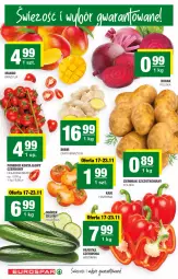 Gazetka promocyjna Spar - Gazetka - ważna od 24.11 do 24.11.2021 - strona 2 - produkty: Papryka czerwona, Papryka, Ogórek, Kaki