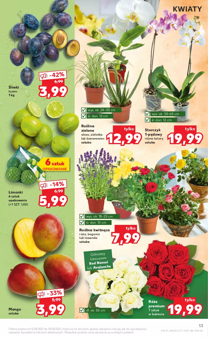 Gazetka promocyjna Kaufland - OFERTA TYGODNIA - ważna 12.08 do 18.08.2021 - strona 13 - produkty: Mango, Róża, Storczyk