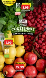 Gazetka promocyjna Lidl - GAZETKA - Gazetka - ważna od 02.05 do 02.05.2023 - strona 16 - produkty: Gra, Granat, Cytryny, Mięta