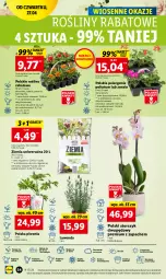 Gazetka promocyjna Lidl - GAZETKA - Gazetka - ważna od 02.05 do 02.05.2023 - strona 64 - produkty: Piwo, Sok, Por, Gra, Cień, O nas, Storczyk, Aksam