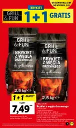 Gazetka promocyjna Lidl - GAZETKA - Gazetka - ważna od 02.05 do 02.05.2023 - strona 7 - produkty: Gra, Grill, Olej
