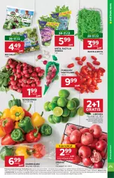Gazetka promocyjna Stokrotka - Market - Gazetka - ważna od 02.01 do 02.01.2025 - strona 7 - produkty: Por, Gra, Papryka, Granat, Rukola, Sałat, Limonka, Bazyl, Bazylia, Pomidory, Rzodkiewka, Mięta, HP