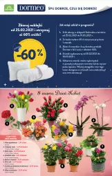 Gazetka promocyjna Stokrotka - Supermarket - Gazetka - ważna od 10.03 do 10.03.2021 - strona 18 - produkty: Gra, Tulipan, Róża, Klej, Storczyk, Bukiet