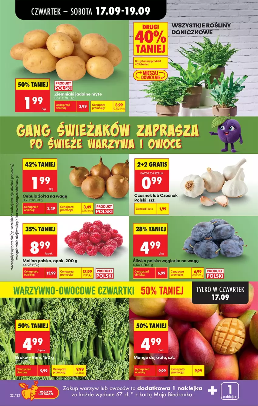 Gazetka promocyjna Biedronka - Od Czwartku - ważna 17.09 do 23.09.2026 - strona 32 - produkty: Czosnek, Mango