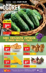 Gazetka promocyjna Biedronka - Od Czwartku - Gazetka - ważna od 23.09 do 23.09.2026 - strona 30 - produkty: Cebula, Cebula zółta, Szal