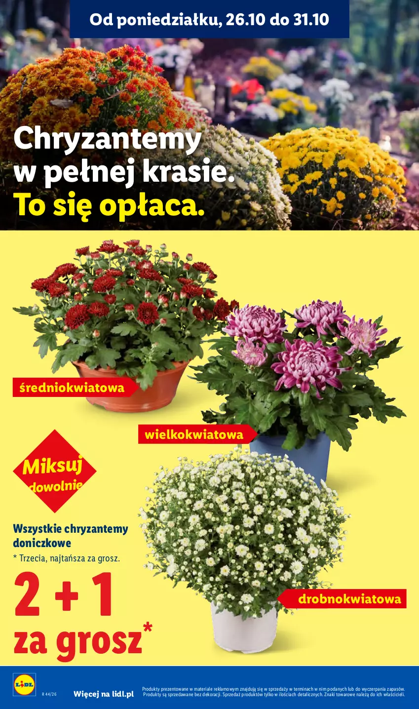 Gazetka promocyjna Lidl - Gazetka - ważna 29.10 do 31.10.2026 - strona 4