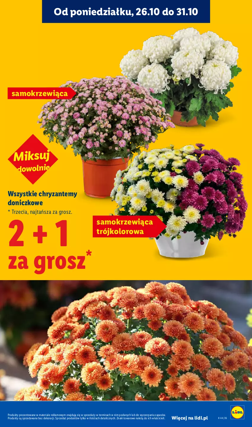 Gazetka promocyjna Lidl - Gazetka - ważna 29.10 do 31.10.2026 - strona 5