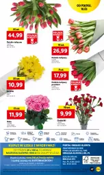 Gazetka promocyjna Lidl - GAZETKA - Gazetka - ważna od 11.03 do 11.03.2023 - strona 55 - produkty: Sok, Por, Gry, Tulipan, Cień, O nas, Mola, Bukiet