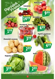 Gazetka promocyjna Prim Market - Gazetka - ważna od 24.06 do 24.06.2026 - strona 6 - produkty: Pomidorki, Grunt, Nektar