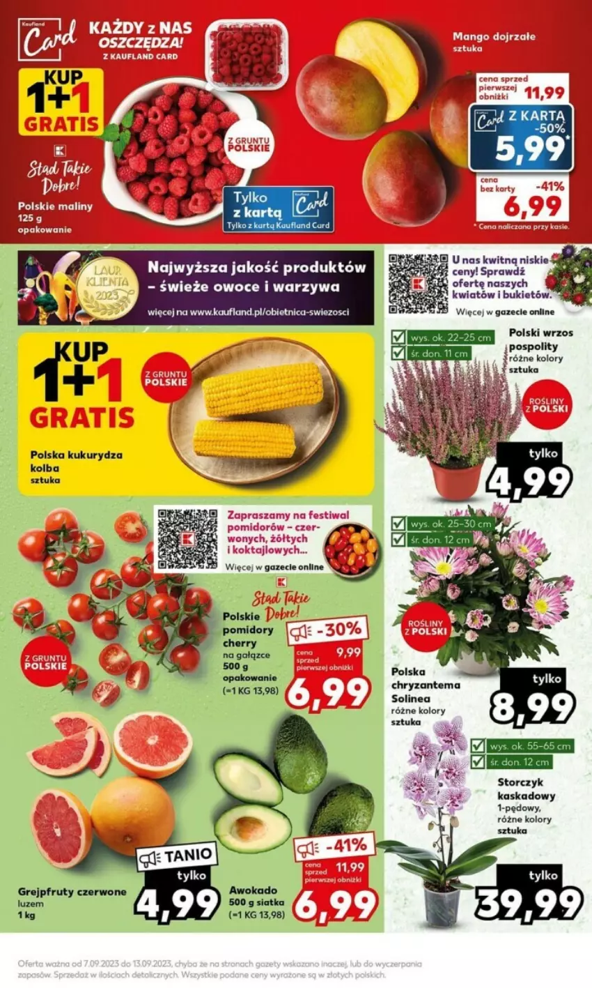 Gazetka promocyjna Kaufland - ważna 11.09 do 13.09.2023 - strona 20 - produkty: Chryzantema, Grejpfrut, Grunt, Kask, Kukurydza, Lion, Mango, Siatka, Storczyk