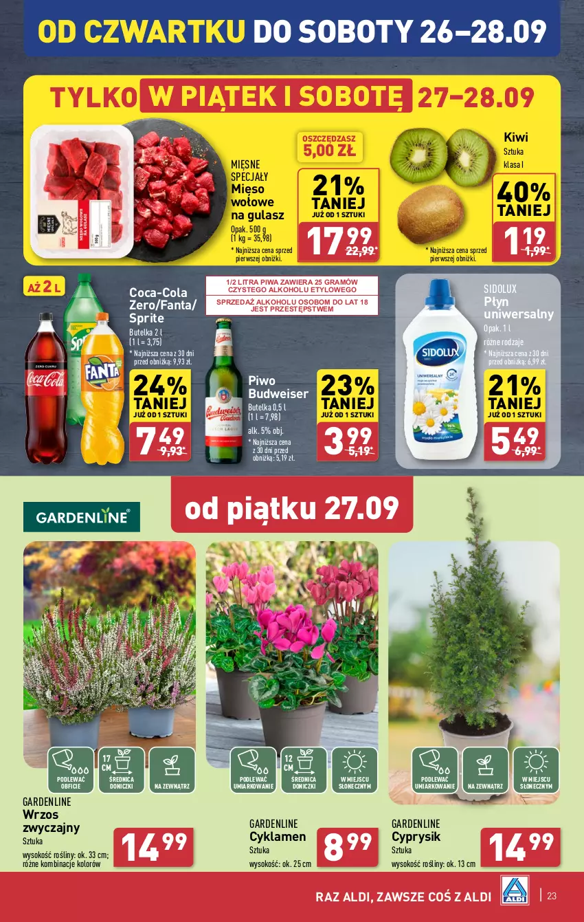 Gazetka promocyjna Aldi - Pełna oferta - ważna 23.09 do 28.09.2024 - strona 23 - produkty: Coca-Cola, Cyklamen, Cyprysik, Fa, Fanta, Gra, Kiwi, Mięsne specjały, Mięso, Mięso wołowe, Piwa, Piwo, Ser, Sidolux, Sok, Sprite