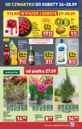 Gazetka promocyjna Aldi - Pełna oferta - Gazetka - ważna od 28.09 do 28.09.2024 - strona 23 - produkty: Piwa, Piwo, Mięso wołowe, Sok, Ser, Gra, Cyklamen, Cyprysik, Mięsne specjały, Kiwi, Coca-Cola, Fanta, Sidolux, Sprite, Mięso, Fa