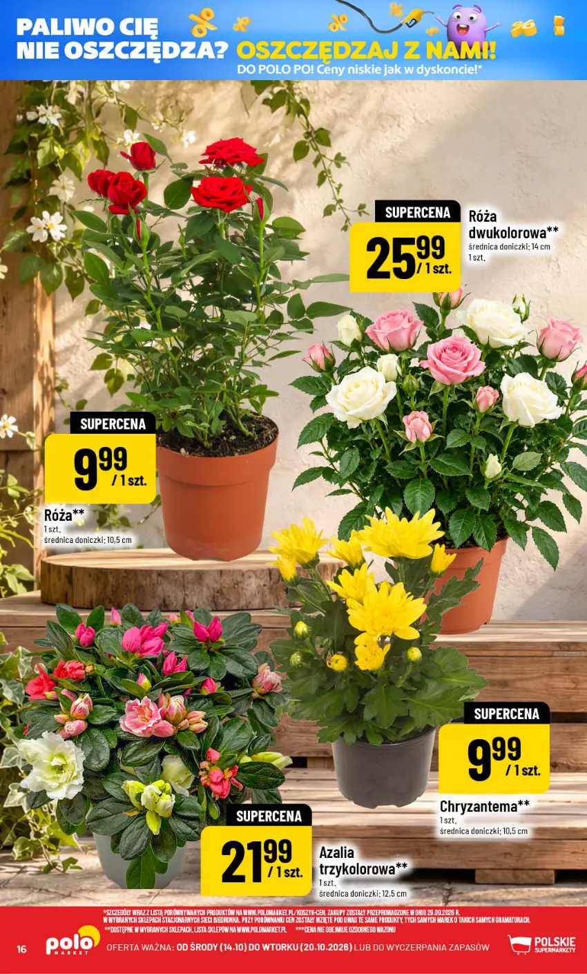 Gazetka promocyjna PoloMarket - Gazetka POLOmarket - ważna 14.10 do 20.10.2026 - strona 16 - produkty: Gra, Kosz, Por, Rama, Wazon