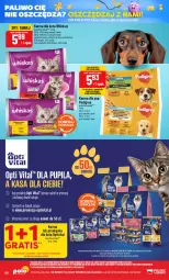 Gazetka promocyjna PoloMarket - Gazetka POLOmarket - Gazetka - ważna od 20.10 do 20.10.2026 - strona 60 - produkty: Por, Gra, Rama, Whiskas, Kosz, Pedigree