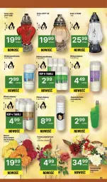 Gazetka promocyjna Delikatesy Centrum - Franczyza DC41 Czwartek - Gazetka - ważna od 15.10 do 15.10.2025 - strona 50 - produkty: Róża, Zapalarka, Bukiet, Znicz, Olej, Wkład olejowy
